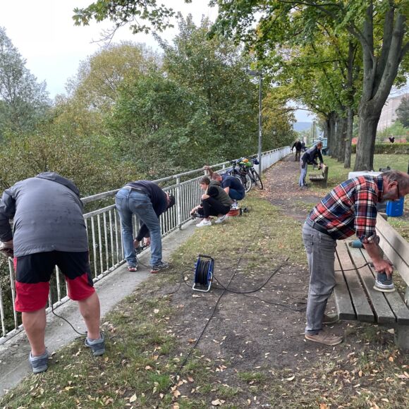 Aktion Pflege Brückenpark - Freie Wähler Wir für Pirna e.V.
